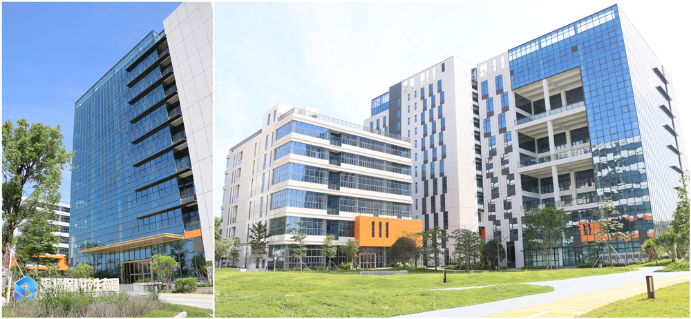 1654564195235383.jpg IMG_1781_副本.jpg